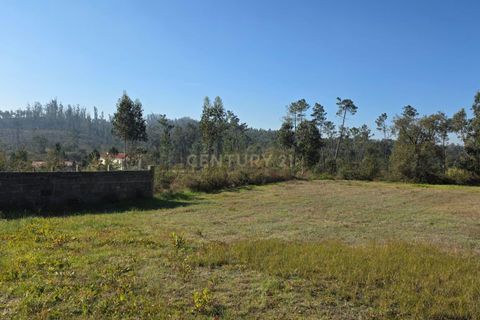 Helårsgrund i Soure, Coimbra, Soure - € 35.000 | Ref: C0381-00853 - foto 14