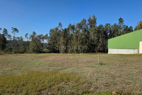 Helårsgrund i Soure, Coimbra, Soure - € 35.000 | Ref: C0381-00853 - foto 15