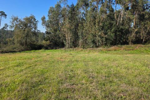 Helårsgrund i Soure, Coimbra, Soure - € 35.000 | Ref: C0381-00853 - foto 18