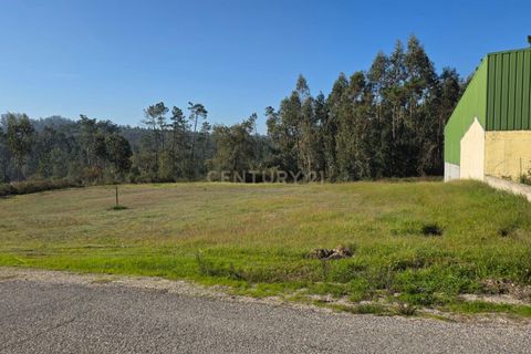 Helårsgrund i Soure, Coimbra, Soure - € 35.000 | Ref: C0381-00853 - foto 19
