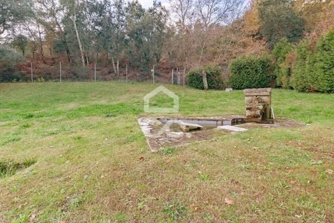 Villa i Cabeceiras de Basto, Braga, Cabeceiras de Basto - € 1.150.000 | Ref: 336/M/01959 - foto 6