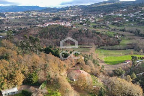 Villa i Cabeceiras de Basto, Braga, Cabeceiras de Basto - € 1.150.000 | Ref: 336/M/01959 - foto 34