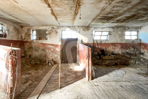 Villa a Staffolo, Ancona, Staffolo - € 145.000 | Ref: 1C_64673 - foto 48