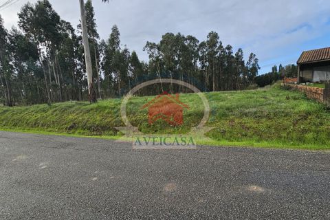 Helårsgrund i Aveiro, Aveiro, Aveiro - € 75.000 | Ref: 21132 - foto 1