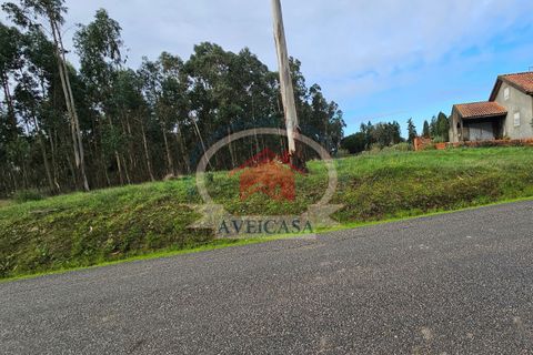 Helårsgrund i Aveiro, Aveiro, Aveiro - € 75.000 | Ref: 21132 - foto 2