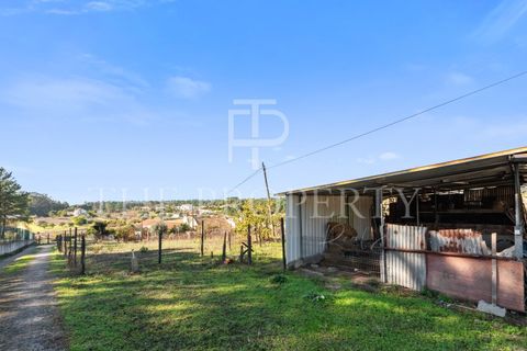 Farm i Azambuja, Lisbon, Azambuja - € 344.901 | Ref: RAS102 - foto 2
