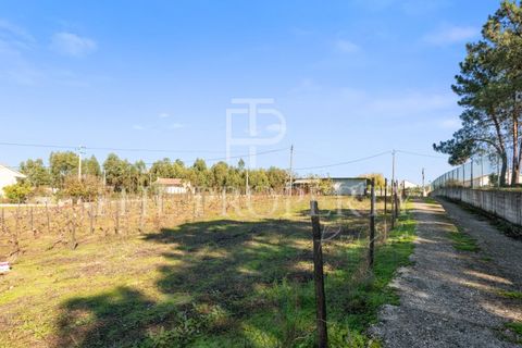 Farm i Azambuja, Lisbon, Azambuja - € 344.901 | Ref: RAS102 - foto 20