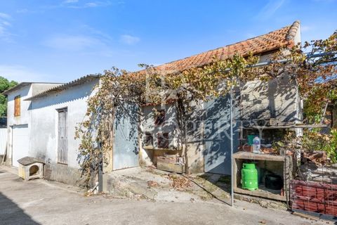 Farm i Azambuja, Lisbon, Azambuja - € 344.901 | Ref: RAS102 - foto 21