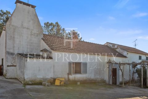 Farm i Azambuja, Lisbon, Azambuja - € 344.901 | Ref: RAS102 - foto 22