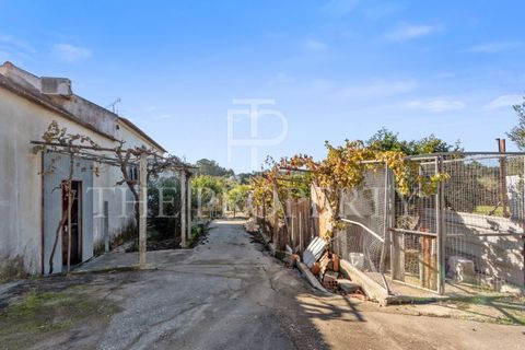 Farm i Azambuja, Lisbon, Azambuja - € 344.901 | Ref: RAS102 - foto 23