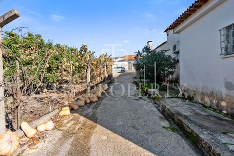 Farm i Azambuja, Lisbon, Azambuja - € 344.901 | Ref: RAS102 - foto 24