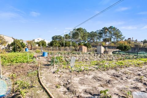 Farm i Azambuja, Lisbon, Azambuja - € 344.901 | Ref: RAS102 - foto 25