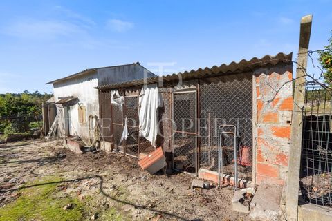 Farm i Azambuja, Lisbon, Azambuja - € 344.901 | Ref: RAS102 - foto 26