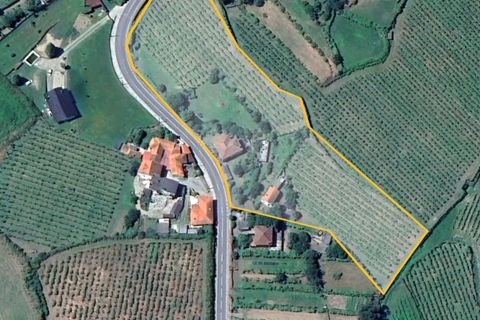 Farm hus i Moncao, Viana do Castelo, Moncao - € 570.000 | Ref: L2025731 - foto 2