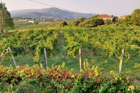 Farm hus i Moncao, Viana do Castelo, Moncao - € 570.000 | Ref: L2025731 - foto 10