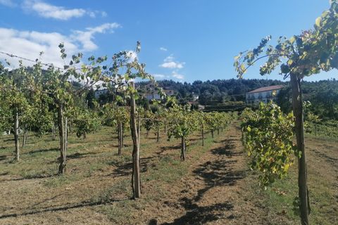 Farm hus i Moncao, Viana do Castelo, Moncao - € 570.000 | Ref: L2025731 - foto 15