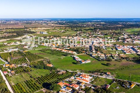 Villa i Palmela, Setubal, Palmela - € 1.490.000 | Ref: 0106-25 - foto 38