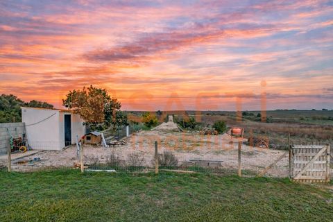 Villa in Azambuja, Lisbon, Azambuja - € 450.000 | Ref: SAFTI:007534 - foto 23