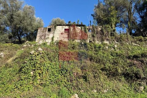 Byhus i Vila Verde, Braga, Vila Verde - € 51.500 | Ref: 08757 - foto 5