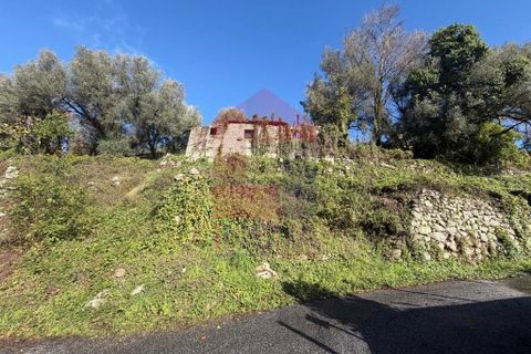 Byhus i Vila Verde, Braga, Vila Verde - € 51.500 | Ref: 08757 - foto 6