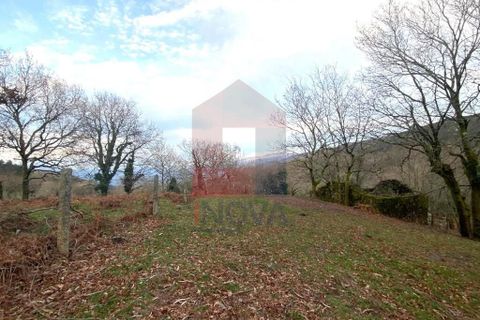 Helårsgrund i Ponte da Barca, Viana do Castelo, Ponte da Barca - € 41.500 | Ref: 08758 - foto 1
