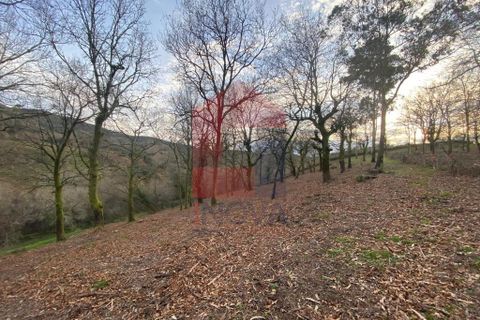 Helårsgrund i Ponte da Barca, Viana do Castelo, Ponte da Barca - € 41.500 | Ref: 08758 - foto 2