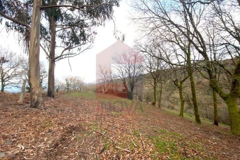 Helårsgrund i Ponte da Barca, Viana do Castelo, Ponte da Barca - € 41.500 | Ref: 08758 - foto 4