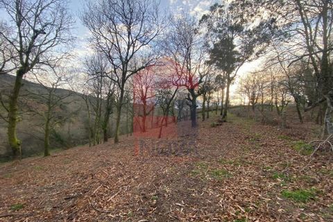 Helårsgrund i Ponte da Barca, Viana do Castelo, Ponte da Barca - € 41.500 | Ref: 08758 - foto 6