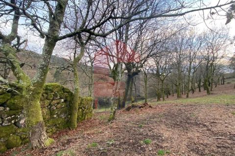 Helårsgrund i Ponte da Barca, Viana do Castelo, Ponte da Barca - € 41.500 | Ref: 08758 - foto 7