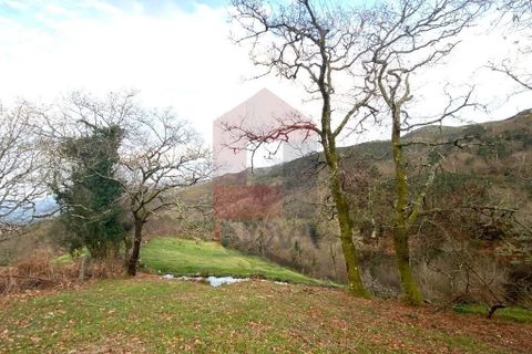 Helårsgrund i Ponte da Barca, Viana do Castelo, Ponte da Barca - € 41.500 | Ref: 08758 - foto 8