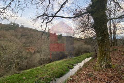 Helårsgrund i Ponte da Barca, Viana do Castelo, Ponte da Barca - € 41.500 | Ref: 08758 - foto 9