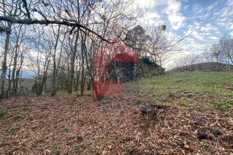 Helårsgrund i Ponte da Barca, Viana do Castelo, Ponte da Barca - € 41.500 | Ref: 08758 - foto 10