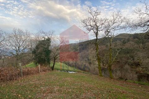 Helårsgrund i Ponte da Barca, Viana do Castelo, Ponte da Barca - € 41.500 | Ref: 08758 - foto 11