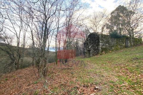Helårsgrund i Ponte da Barca, Viana do Castelo, Ponte da Barca - € 41.500 | Ref: 08758 - foto 12