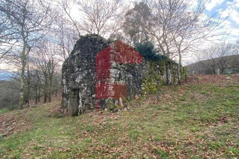 Helårsgrund i Ponte da Barca, Viana do Castelo, Ponte da Barca - € 41.500 | Ref: 08758 - foto 13