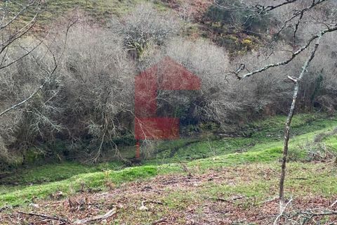 Helårsgrund i Ponte da Barca, Viana do Castelo, Ponte da Barca - € 41.500 | Ref: 08758 - foto 17