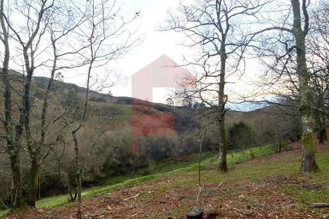 Helårsgrund i Ponte da Barca, Viana do Castelo, Ponte da Barca - € 41.500 | Ref: 08758 - foto 18