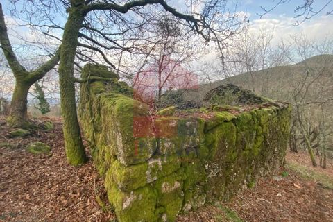 Helårsgrund i Ponte da Barca, Viana do Castelo, Ponte da Barca - € 41.500 | Ref: 08758 - foto 21