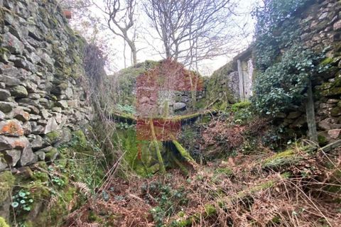 Helårsgrund i Ponte da Barca, Viana do Castelo, Ponte da Barca - € 41.500 | Ref: 08758 - foto 22