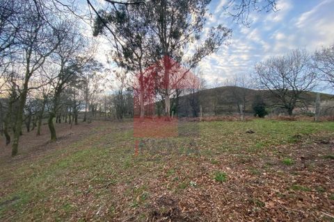 Helårsgrund i Ponte da Barca, Viana do Castelo, Ponte da Barca - € 41.500 | Ref: 08758 - foto 23