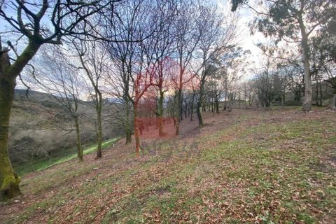 Helårsgrund i Ponte da Barca, Viana do Castelo, Ponte da Barca - € 41.500 | Ref: 08758 - foto 24
