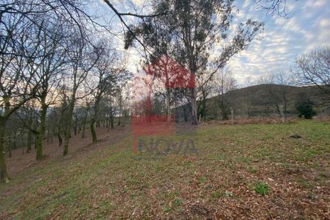 Helårsgrund i Ponte da Barca, Viana do Castelo, Ponte da Barca - € 41.500 | Ref: 08758 - foto 25