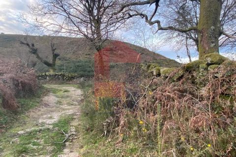Helårsgrund i Ponte da Barca, Viana do Castelo, Ponte da Barca - € 41.500 | Ref: 08758 - foto 28