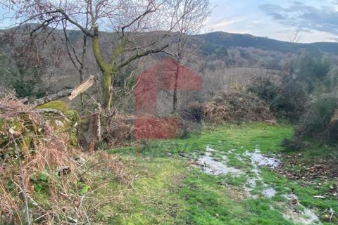 Helårsgrund i Ponte da Barca, Viana do Castelo, Ponte da Barca - € 41.500 | Ref: 08758 - foto 29