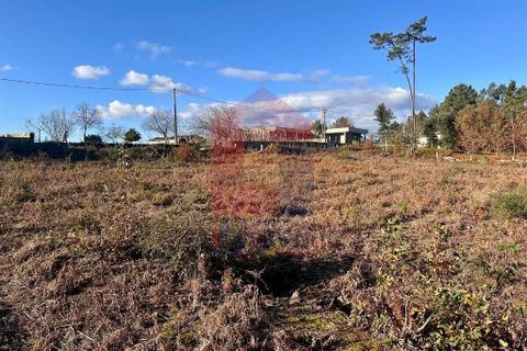 Helårsgrund i Barcelos, Braga, Barcelos - € 135.000 | Ref: 08759 - foto 6