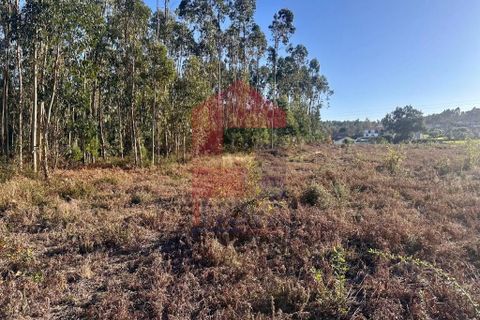 Helårsgrund i Barcelos, Braga, Barcelos - € 135.000 | Ref: 08759 - foto 9