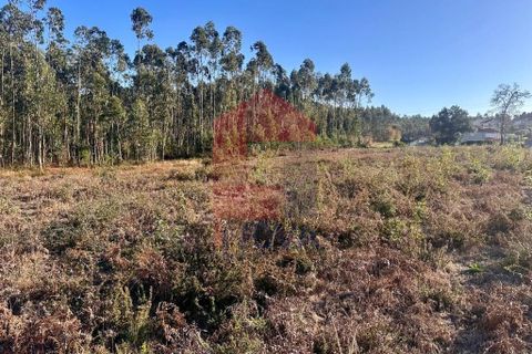 Helårsgrund i Barcelos, Braga, Barcelos - € 135.000 | Ref: 08759 - foto 10