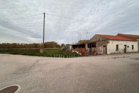 Villa a Ferrel, Leiria, Ferrel - € 295.000 | Ref: GO380 - foto 3