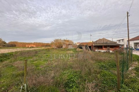 Villa a Ferrel, Leiria, Ferrel - € 295.000 | Ref: GO380 - foto 4