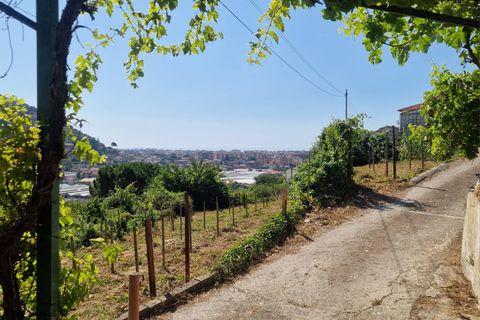 Villa i Camporosso, Imperia, Camporosso - € 198.000 | Ref: F159-1457 - foto 23